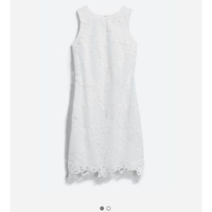 Deena Lace Knit Dress